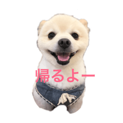 [LINEスタンプ] ランジュくんとルイちゃん