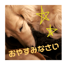 [LINEスタンプ] ミルクちゃんのひとりごと