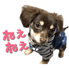 [LINEスタンプ] アルバすたんぷ