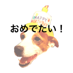 [LINEスタンプ] ポチと琥太郎と燦太郎の毎日1