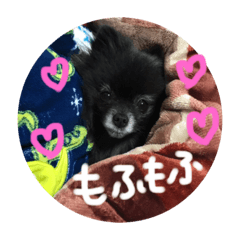 [LINEスタンプ] くぅのスタンプ2 