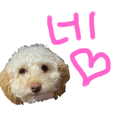 [LINEスタンプ] 로로スタンプ 