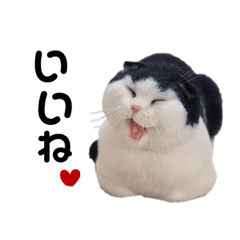[LINEスタンプ] 羊毛ねこの一言スタンプ 