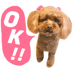 [LINEスタンプ] ちょこすたんぷ①