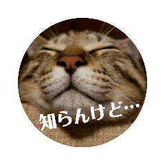 [LINEスタンプ] メイリオマックのスタンプ2