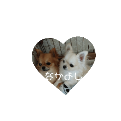 [LINEスタンプ] うちの子達2