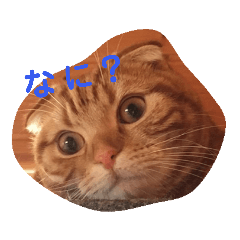 [LINEスタンプ] まるすた1