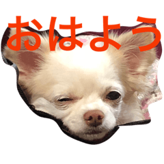 [LINEスタンプ] さくと慧の日常