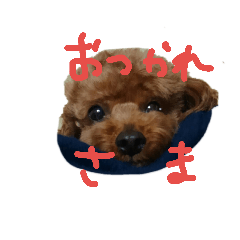 [LINEスタンプ] トイプードルだいすき