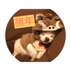 [LINEスタンプ] チロル君 お正月編 