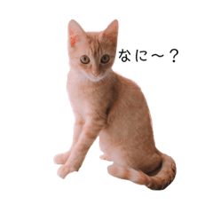 [LINEスタンプ] ウォルトの日常