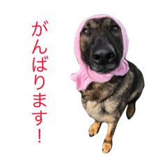 [LINEスタンプ] Hope Dogs2 