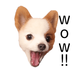 [LINEスタンプ] みしぇる1 