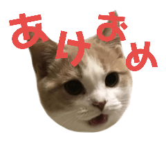 [LINEスタンプ] 新春ひこ＆くにゃ