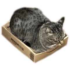 [LINEスタンプ] 新田家の猫