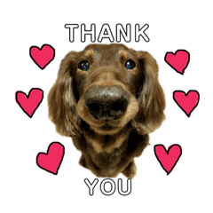 [LINEスタンプ] ふじえまっくすたんぷ