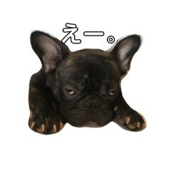 [LINEスタンプ] フレブルのリキと愉快な仲間たち