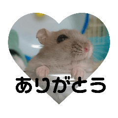 [LINEスタンプ] Hamster Subaru
