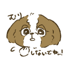 [LINEスタンプ] シーズー_犬のスタンプ