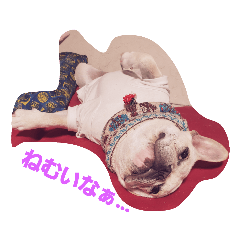 [LINEスタンプ] まるこのきもち