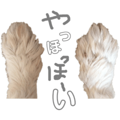[LINEスタンプ] ちっぷちゃんです