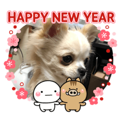 [LINEスタンプ] みぃちゃんモカちゃん