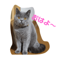 [LINEスタンプ] ぽてぐみスタンプ