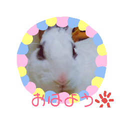 [LINEスタンプ] メロンさん① 