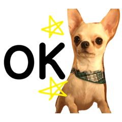 [LINEスタンプ] まる ろむ