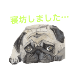 [LINEスタンプ] 水彩わんこの世界 