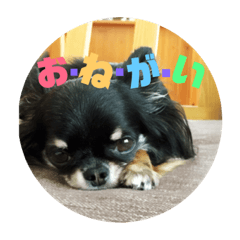 [LINEスタンプ] ゆにスタンプだワン3