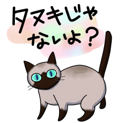 [LINEスタンプ] シャム猫生活