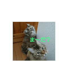 [LINEスタンプ] ソラとノア