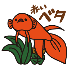 [LINEスタンプ] 赤いベタの日常会話スタンプ