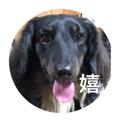 [LINEスタンプ] ルーク日和
