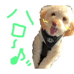 [LINEスタンプ] roroスタンプ