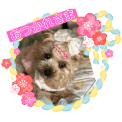 [LINEスタンプ] ヨーキーof kee