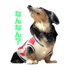[LINEスタンプ] ぼっるるるる