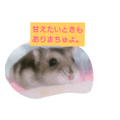 [LINEスタンプ] ハムスターの寿