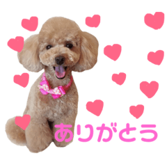 [LINEスタンプ] もも stamp 