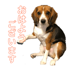 [LINEスタンプ] キャビア♥️ 