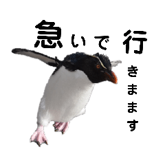 [LINEスタンプ] お返事ペンギン