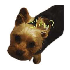 [LINEスタンプ] むぎの日常。