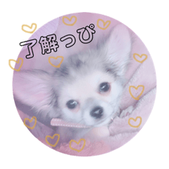 [LINEスタンプ] bokumenmakun