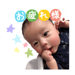 [LINEスタンプ] ちびふくまのスタンプ