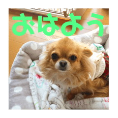 [LINEスタンプ] もかつぼスタンプ