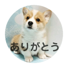 [LINEスタンプ] ロク スタンプ