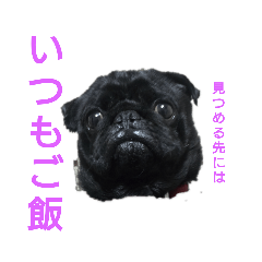 [LINEスタンプ] 僕らのママゎあーたん 