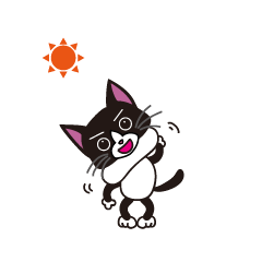 [LINEスタンプ] ハチワレはっちゃん 