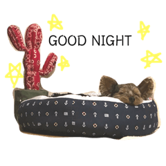 [LINEスタンプ] ROYくんスタンプ2 